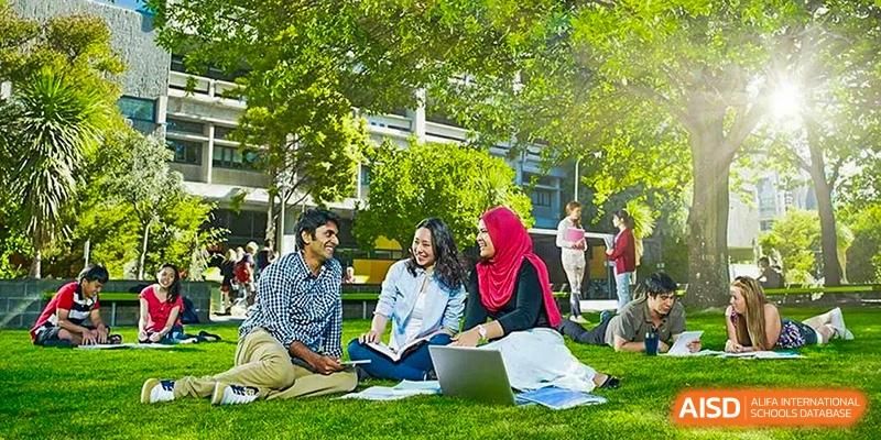 Diverse group of students sitting on the grass, studying or socializing with a laptop in a sunny outdoor area of Shanxi Plinth International School.
