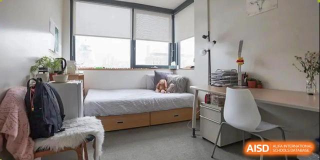 Modern and spacious dormitory room with a large single bed, window, and storage cabinets at Shanxi Plinth International School.