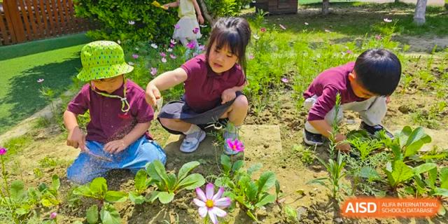 Young child kneeling and touching a flower in a garden at Wuxi Boston International School.