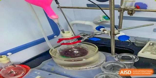A close-up of a petri dish with scientific tools, showing a biology experiment or lab work at Wuhan Britain-China School.