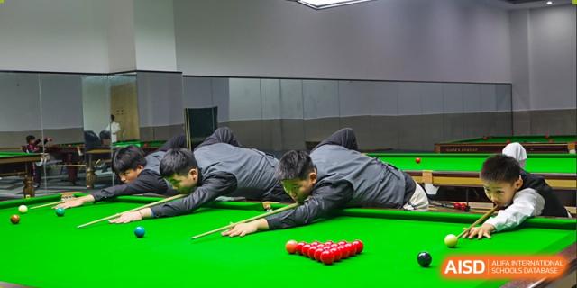 Two students in grey shirts playing snooker on a green table with red balls, focusing on a shot, at Ningxiang Country Garden School.