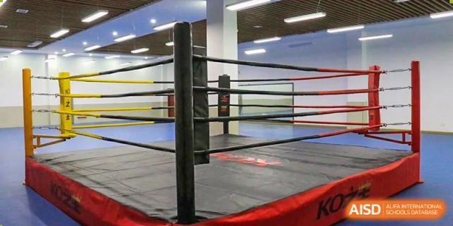 An empty indoor boxing ring with black ropes and posts, set up in a brightly lit training area, at Ningxiang Country Garden School.