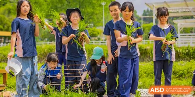 Students are participating in a hands-on agricultural or environmental education activity, carefully handling freshly pulled plants outdoors at Changsha WES (Bilingual) Academy.