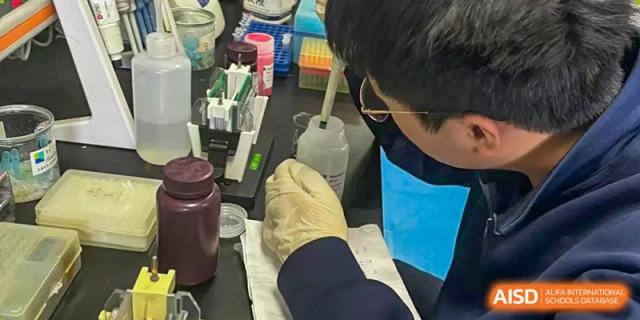 A student wearing yellow gloves is carefully working with pipettes and a test tube rack in a detailed biology or chemistry lab setting at Changsha WES (Bilingual) Academy.