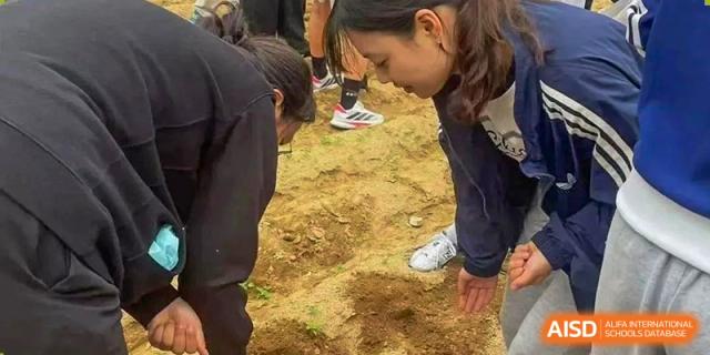 Students participating in an outdoor planting or gardening activity, kneeling on the bare soil at Weihai Zhongshi Foreign School (WZFS).