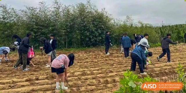 A student working in a field of prepared soil during an outdoor education or farming activity at Weihai Zhongshi Foreign School (WZFS).