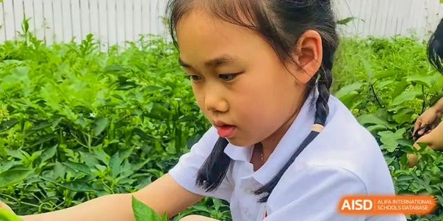 A young student from Changsha BeeMee Forest School (CBFS) in a white uniform, looking down at plants in an outdoor setting.