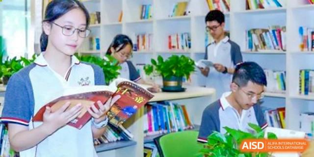 A CHONGQING WEIMING SCHOOL student reading a book in the school's library surrounded by bookshelves.