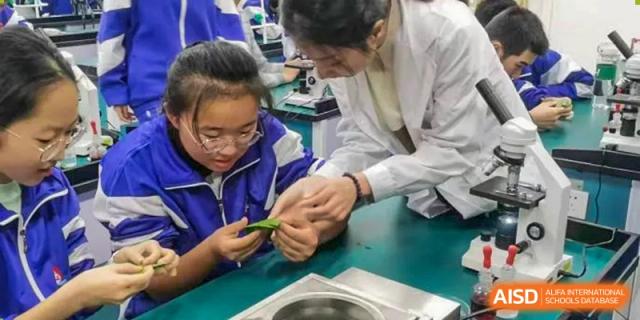 A teacher in a lab coat at Dalian No.24 High School Cambridge International A-Level Centre assists a student with a hands-on science or practical learning exercise.