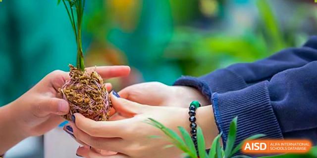 Two hands at Dulwich College Suzhou are gently holding a small animal or insect. The hands are resting in a natural, leafy environment.