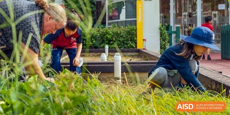 A student from Dulwich College Suzhou is tending to a school garden.