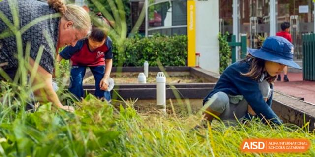 A student from Dulwich College Suzhou is tending to a school garden.