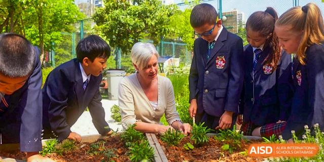An adult and students from Dulwich College Suzhou are working together in the school garden.