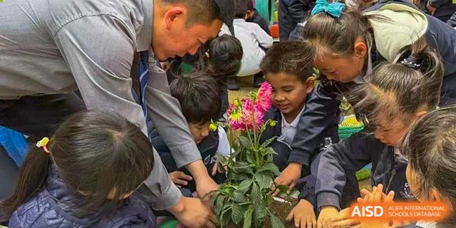 An adult helping children arrange pink and white flowers in a plant pot at HD Qingdao School.