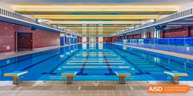 A view of an indoor swimming pool with multiple lanes, diving blocks, and blue water at HD Qingdao School.