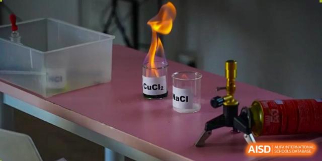 A science experiment showing a flame test on two substances, CuCl  2 ​   and NaCl, being conducted at Hongyi Cambridge International School (HYCIS).