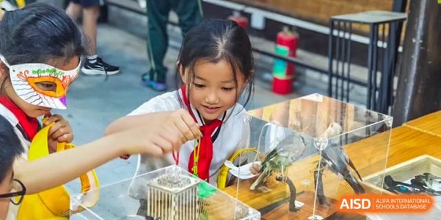 A young female student from Maple Leaf School - Xiangyang conducting a science experiment with small objects in a clear container.