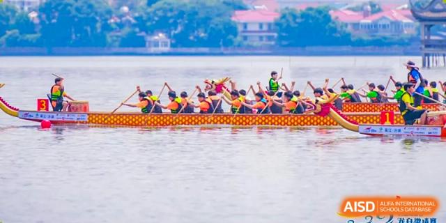 A dragon boat team paddling in unison on the water during a race or practice at Sino-Canada School.