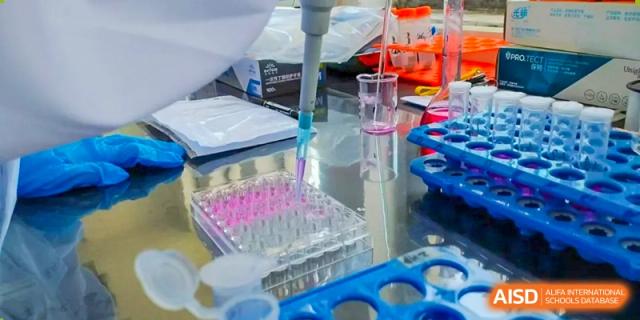 Chengdu Shishi High School Cambridge A-Level Centre students using lab equipment to conduct a scientific experiment.