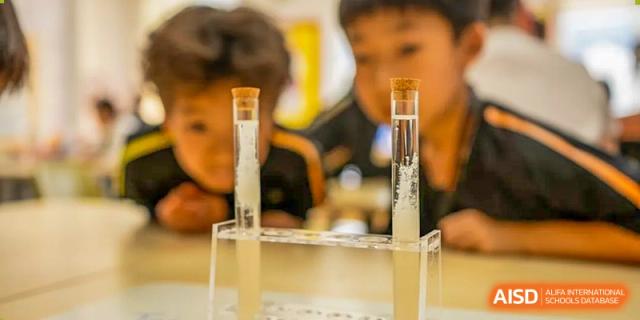 Students closely observing two test tubes filled with clear liquid during a science experiment at Hiba Academy Hangzhou.