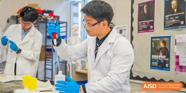 A male instructor or student wearing a white lab coat and blue gloves working with chemicals and laboratory equipment at Hiba Academy Hangzhou.