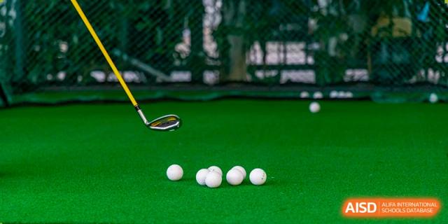 A close-up of a green turf field with five white balls and a piece of sports equipment, possibly for field hockey or a similar sport, at Wuhan Aoxin Elite School.