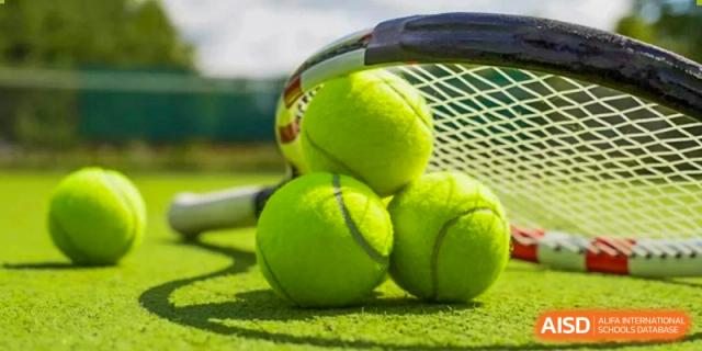 A close-up of three bright tennis balls resting on a green surface with a tennis racket visible in the background at Wuhan Aoxin Elite School.