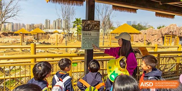 A group of young students looking up at a sign while a teacher points and talks, likely during an educational field trip at Wuhan Aoxin Elite School.
