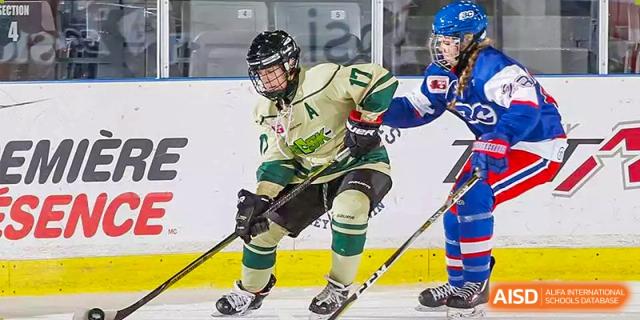 Dynamic hockey player on ice. Wuhan Hongshan High School International Department. Athlete in green and cream jersey, helmet, stick, mid-game action. Intense sports moment.