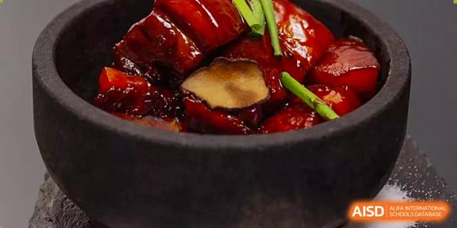 Close-up of a dark earthenware pot containing rich, braised pork or similar dish garnished with scallions, served at Wuhan Hongshan High School International Department.