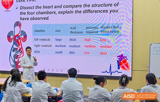 Chengdu No.7 High School International Department students in a classroom with a biology lesson about the heart displayed on a large screen.