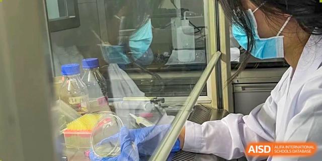 A photo showing a student doing some kind of medical experiment in a lab, at Beijing Foreign Studies University International Curriculum Center.
