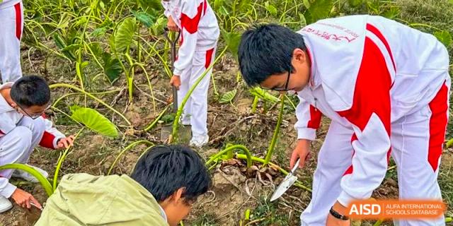 Students from Shijingshan School of The High School Affiliated to Renmin University of China work in a garden or field, focusing on plants.