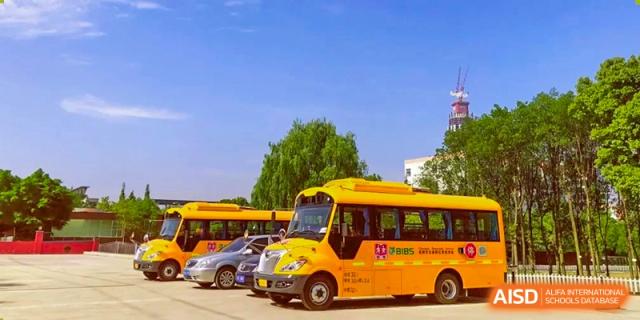 A row of bright yellow school buses parked in a line under a clear blue sky on the school campus. Beanstalk International Bilingual School (BIBS) - Chengdu