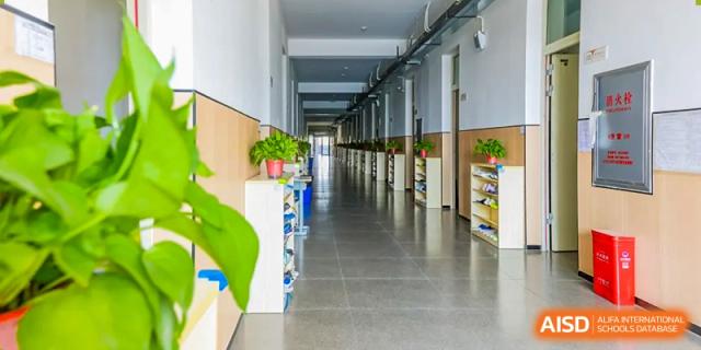 A long, bright, and modern hallway or corridor within Changsha Lushan Zhongjia School, with lockers and some decorative greenery.