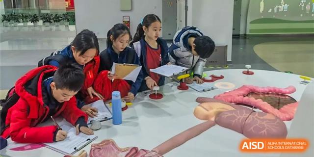 Students from Dulwich College Beijing are working together at a table in a science or art class.