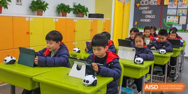 A student from Rugao International Academy BFSU using a tablet in class.
