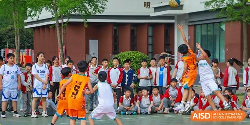 A group of Weiming School Chengdu Qingbaijiang students watches a basketball game intently from the court sidelines, with some kneeling and others sitting.