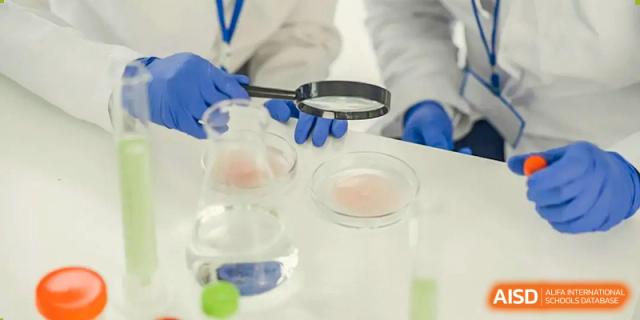 A close-up of a science experiment showing a student's gloved hand holding a magnifying glass over petri dishes at Wuhan Optics Valley ULINK School.