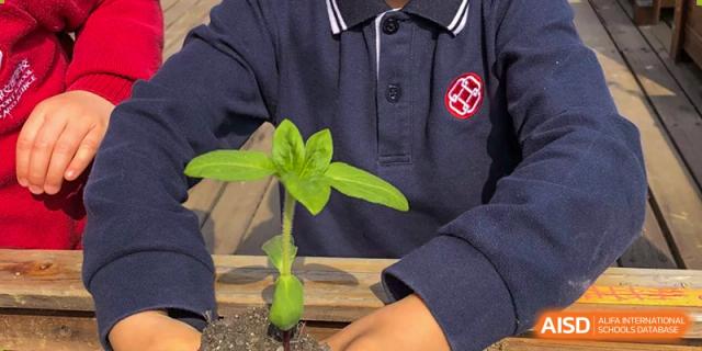A student nurturing a small, healthy green plant growing in a small plot of soil, showcasing an environmental or science activity, at Wuxi Dipont School of Arts and Science.