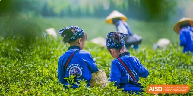 Children in traditional attire working or playing in a natural outdoor setting at Wuxi United International School.