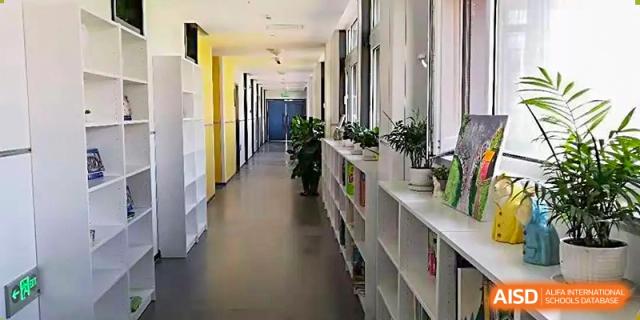 Bright, modern school hallway with storage shelves and potted plants along the wall at BIBA (Tianjin International Bilingual Academy).