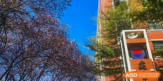 A vibrant outdoor scene showing trees with lush green leaves and pink blossoms against a bright blue sky at Henan Zhengzhou Jianye International School.