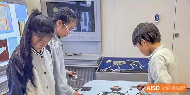 A student working on a large science project with various components on a table in a lab at the Shanghai Jincai High School International Division.
