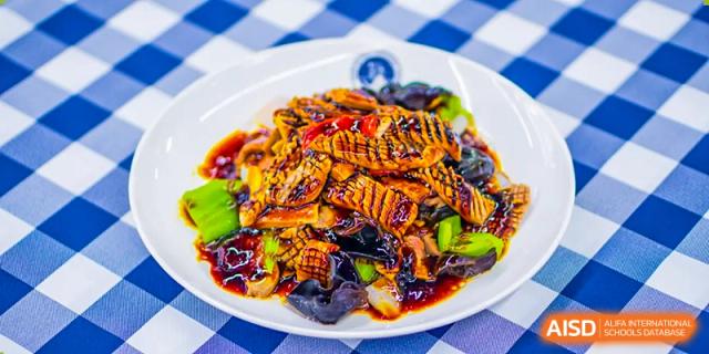 A plate of stir-fried eggplant or another vegetable dish is shown, a vegetarian option at Beijing Xin Fuxue International Academy.