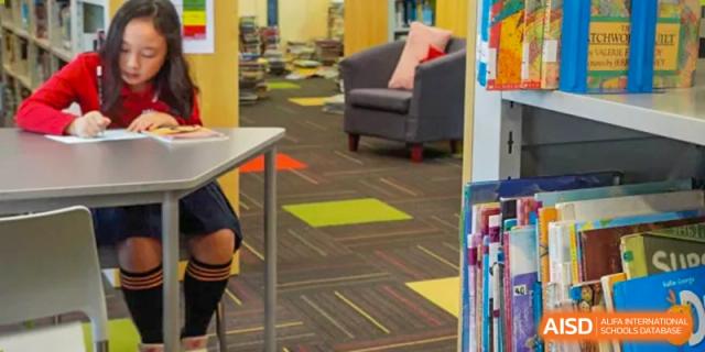 An empty corner of a school library with colorful carpet and bookshelves at Chengdu International School.