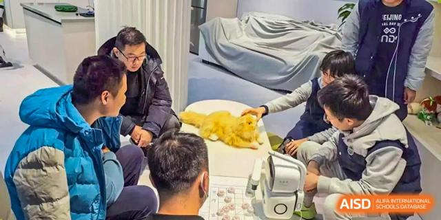 A group of students looking at or interacting with a light orange cat on a table, possibly during a hands-on science or veterinary lesson, Beijing Etown Academy International Department