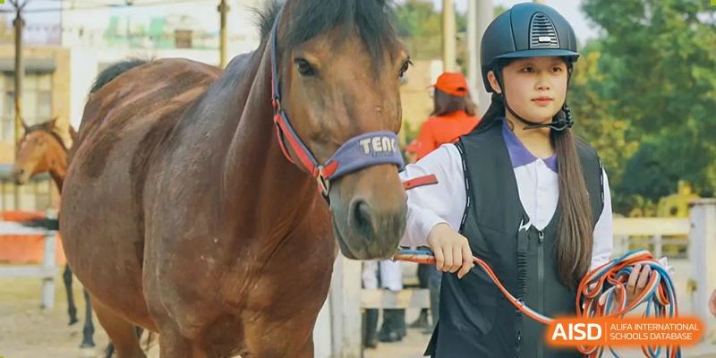 A brown horse being led by a handler, part of the equestrian program or activity at Cogdel Cranleigh School Changsha.