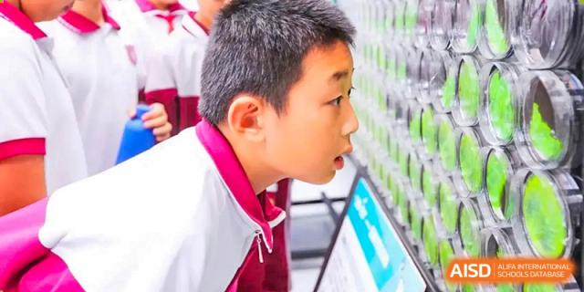 A close-up of a male student from The Affiliated High School of Peking University's Dalton Academy focused on an interactive screen or computer in a classroom or lab.