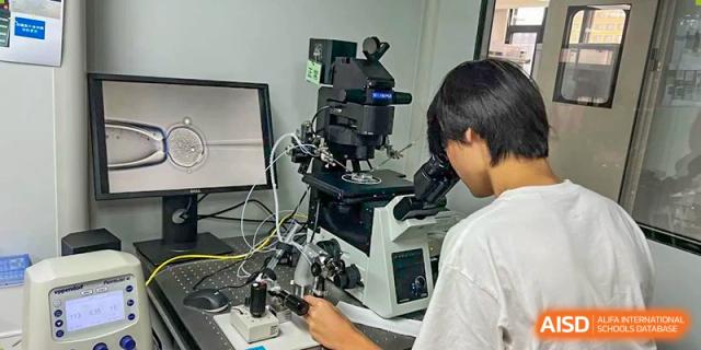 A student from The Affiliated High School of Peking University's Dalton Academy intently working with a high-powered microscope in a science lab.